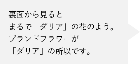 裏面から見るとまるで「ダリア」の花のよう。ブランドイメージの花が「ダリア」の所以です